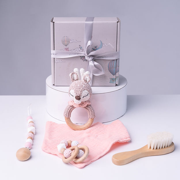 Deer Baby Gift set